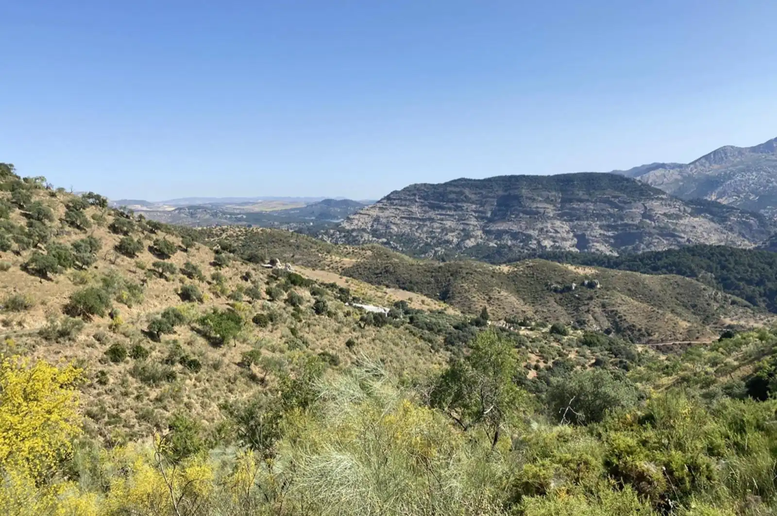 Terreni e lotti in vendita a huerto franco, imagen 6