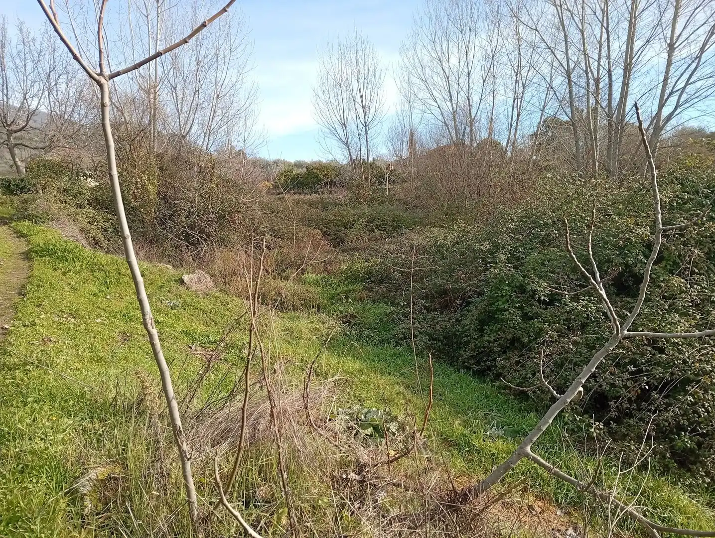 Terreni e lotti in vendita a Valverde de la Vera, imagen 5