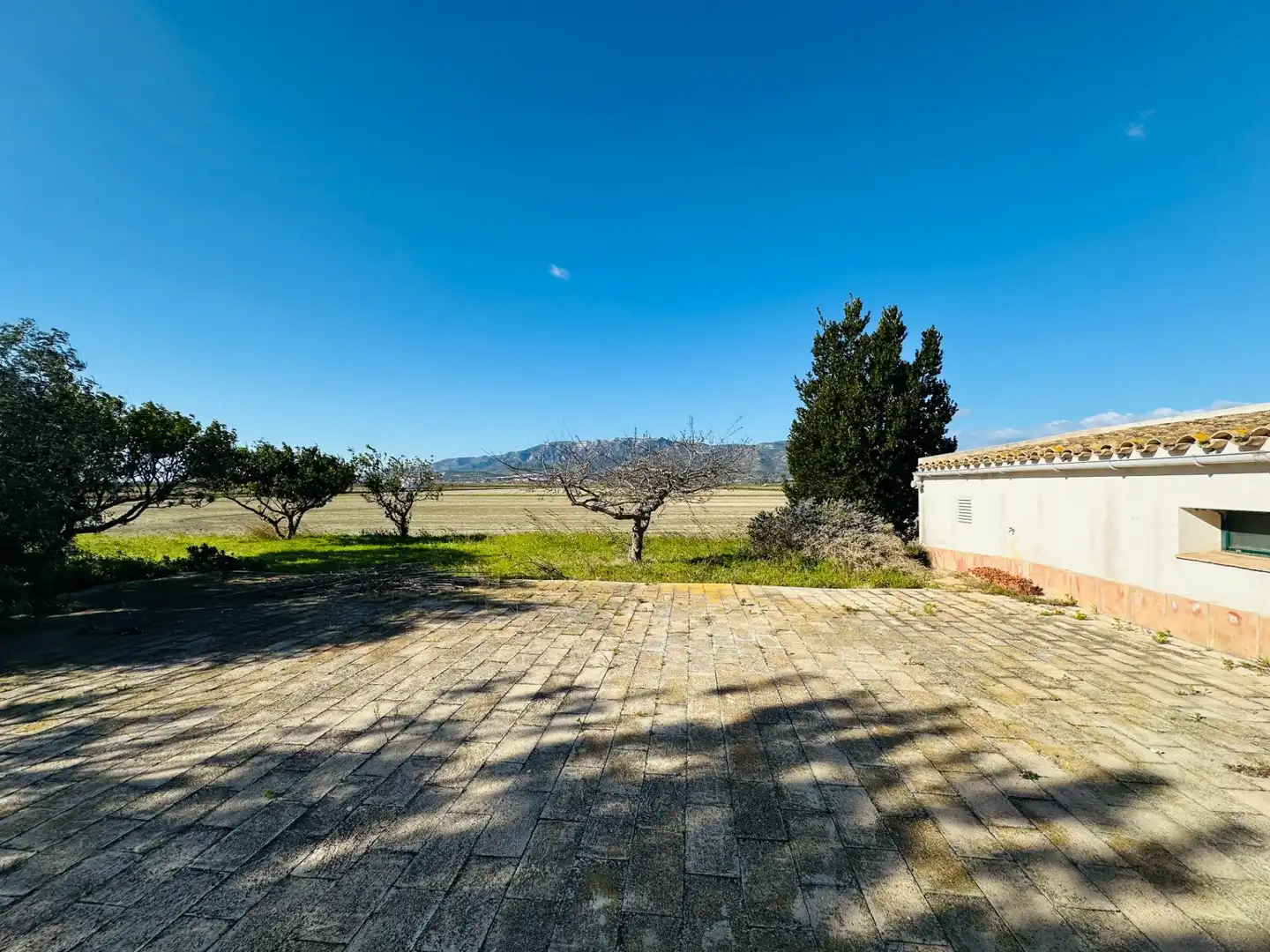 Vista exterior de Casa o chalet en venta en La Ràpita