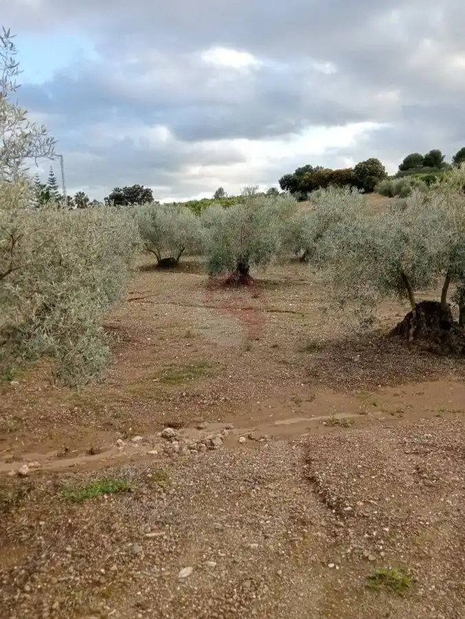 Terrenys i solars en venda a Coín, imagen 4