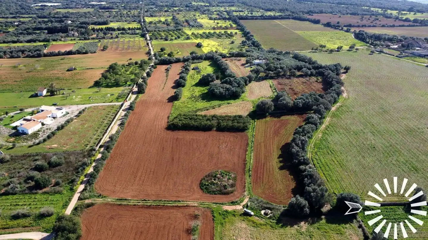 Terrain rustique à vendre à Cami de Son Pau, imagen 22