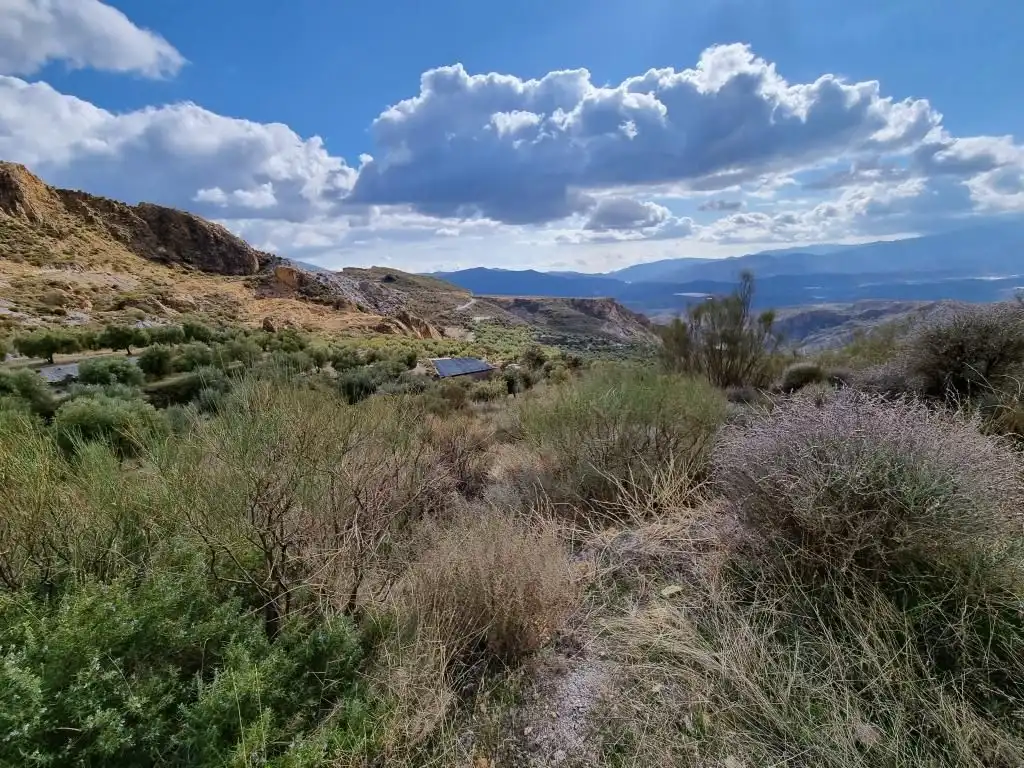 Terreni e lotti in vendita a Nevada, imagen 25