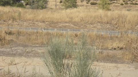 Photo 5 of Industrial land for sale in  Sector I-10 H, Parc, La Dehesa - El Pinar, Madrid