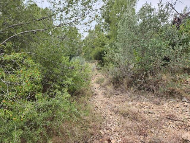 Terreno residencial en Venta en Pl Número 115 en Mestrets