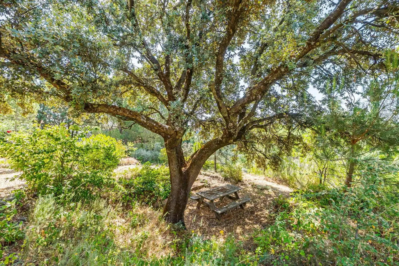 Jardín de Casa o chalet en venta en Las Rozas de Madrid con Aire acondicionado, Calefacción y Jardín privado