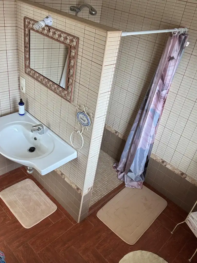 Bany de Casa o xalet en venda en Villanueva del Río y Minas amb Aire condicionat, Jardí privat i Terrassa