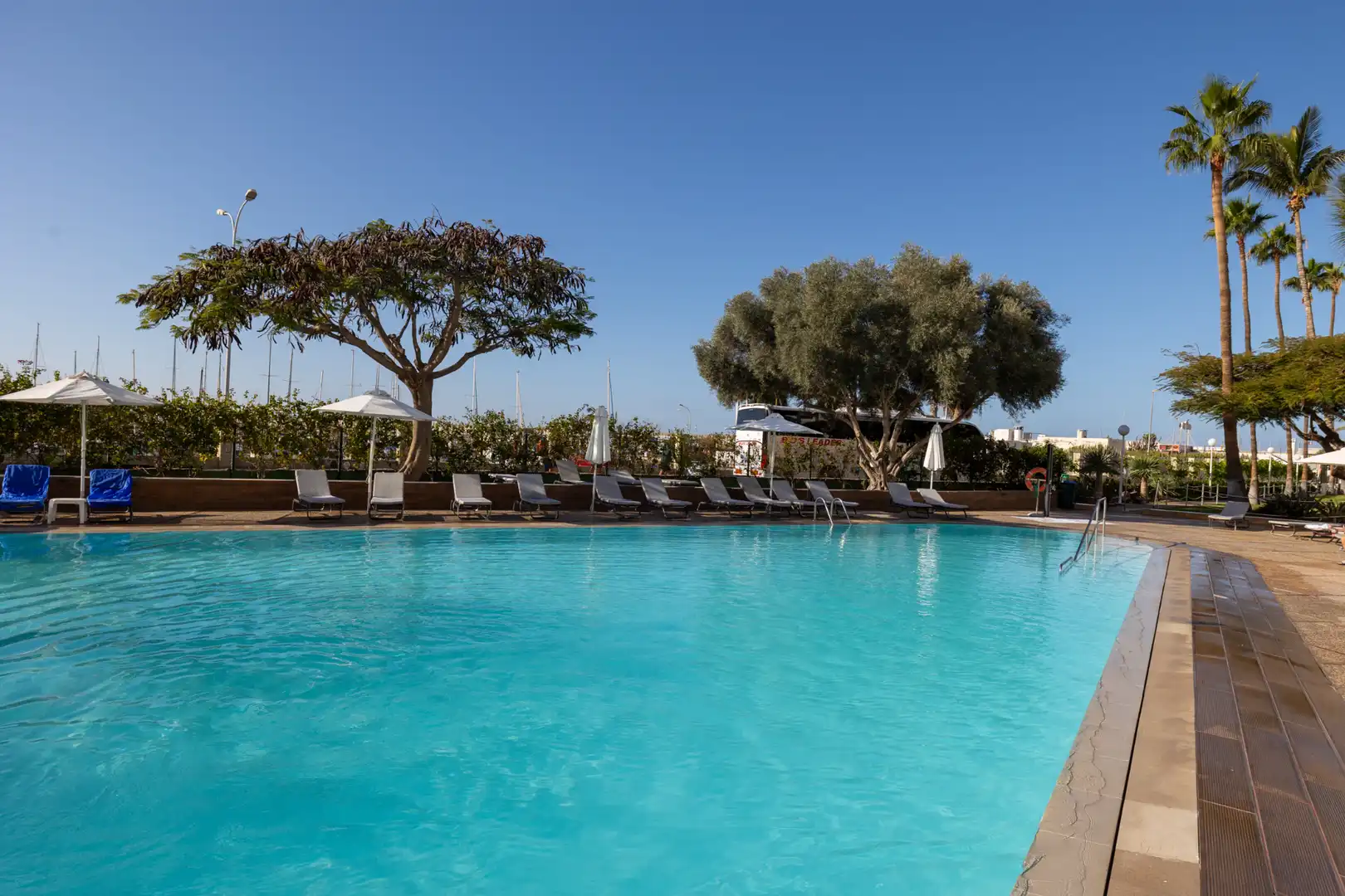 Schwimmbecken von Wohnung zum Verkauf in Mogán mit Klimaanlage, Terrasse und Möbliert