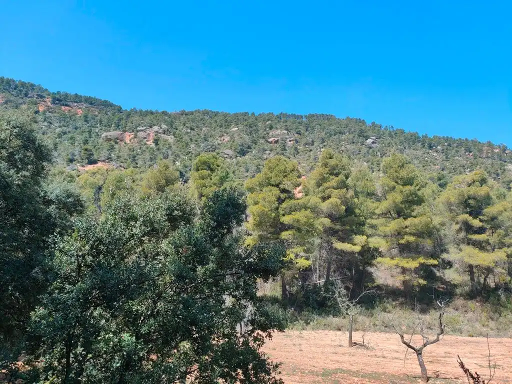 Terreni e lotti in vendita a Ráfales, imagen 6