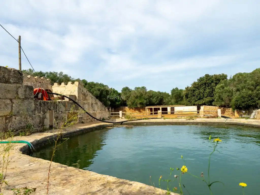 Piscina de Finca rústica en venta en Es Castell
