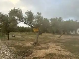 Terreny rústic en venda a San Rafael del Río, imagen 12