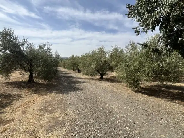 Terreno residenziale in vendita a Villafranca de Córdoba, imagen 9