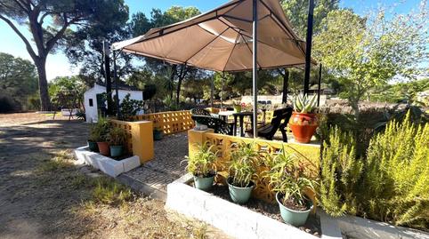 Photo 4 of Country house for sale in Los Pinos de Valverde, 1, Valverde del Camino, Huelva
