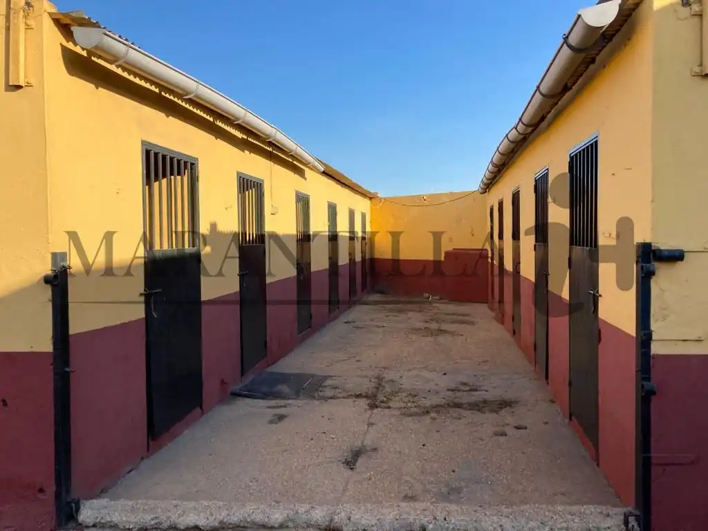 Terreno rustico in vendita a Lepe, imagen 7