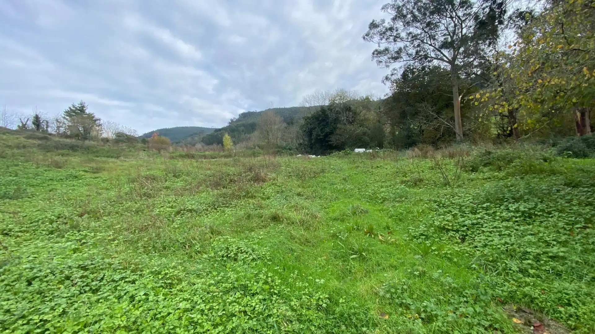 Residential for sale in Limpias