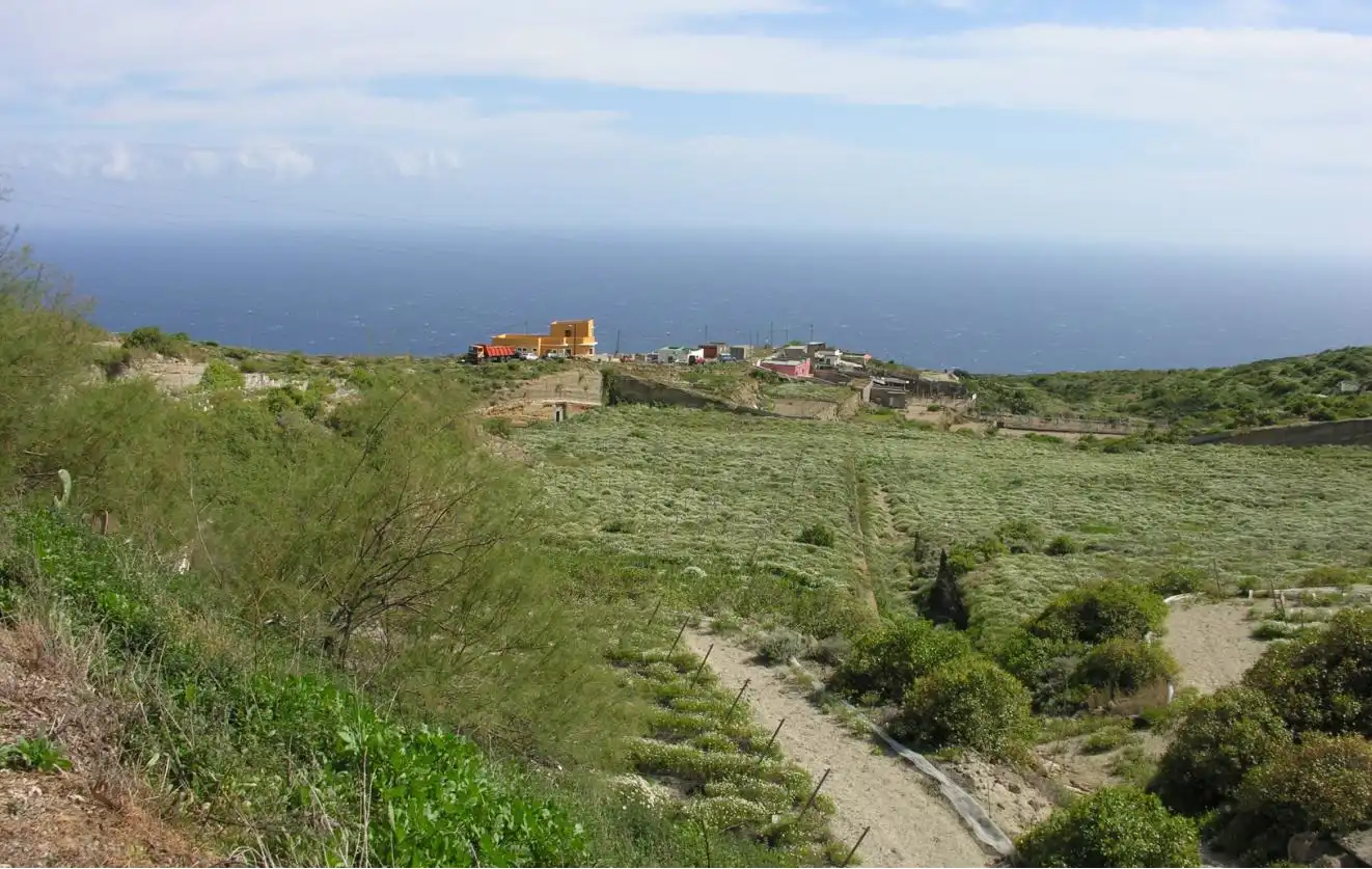 Rural land for sale in Camino la Tirada 10, imagen 2