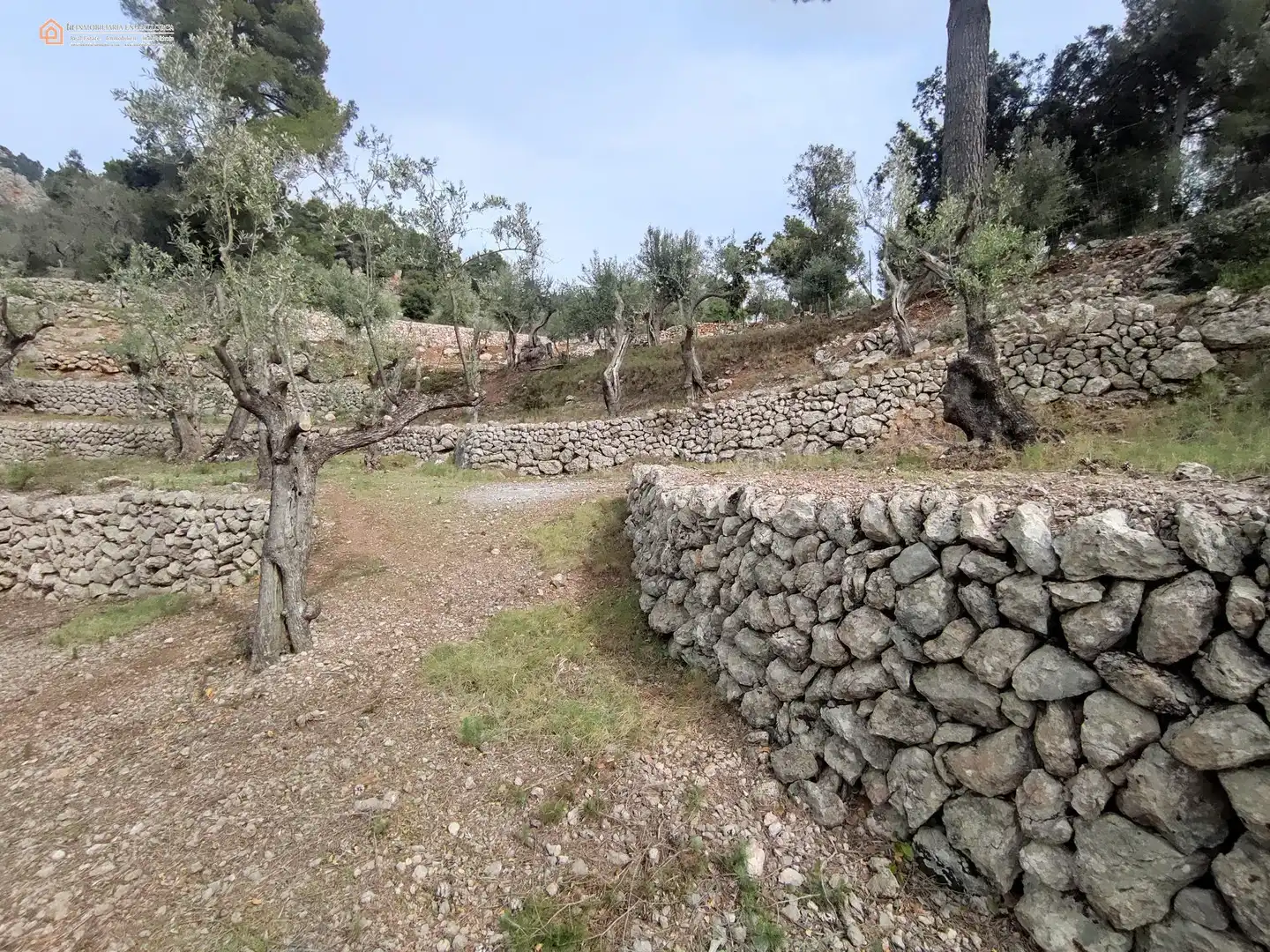 Residential for sale in Fornalutx