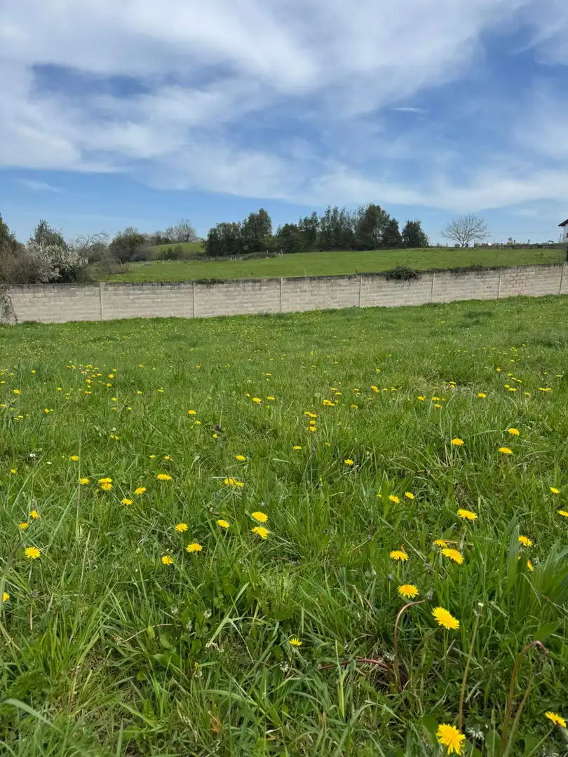 Residencial en venda a San Miguel - CAMÍN DE LOS LLOREOS, El Berrón - La Carrera