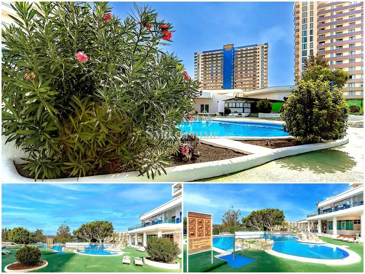 Vista exterior de Estudio en venta en Adeje con Terraza, Amueblado y Piscina comunitaria