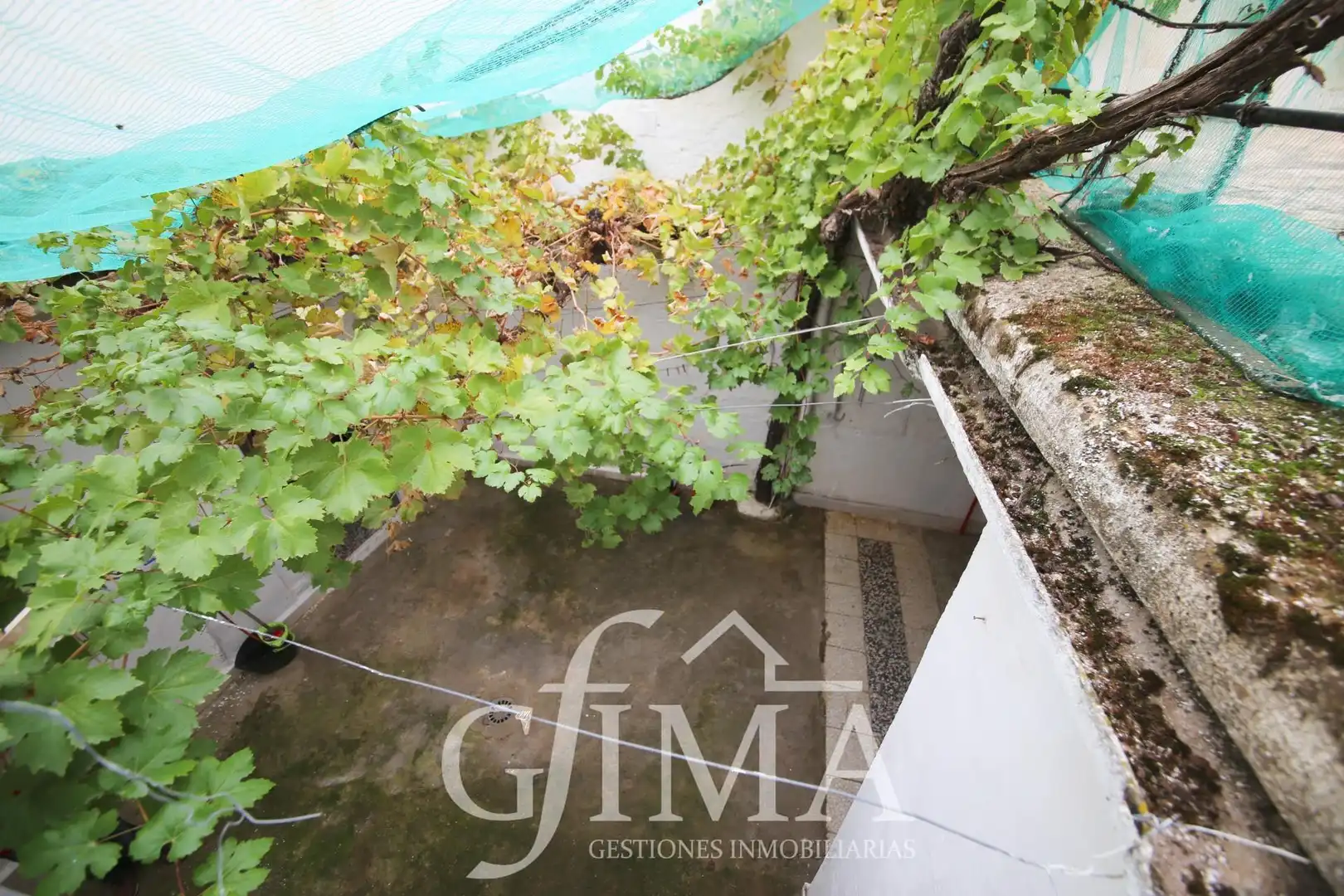 Jardín de Casa o chalet en venta en Tomelloso con Terraza