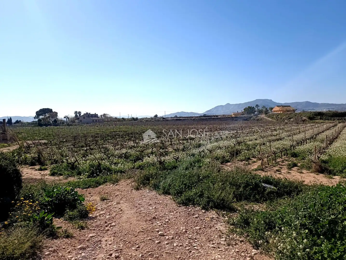 Casa o chalet en venta en Novelda