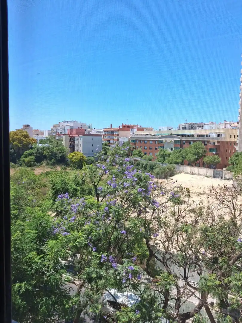 Exterior view of Flat for rent in Cádiz