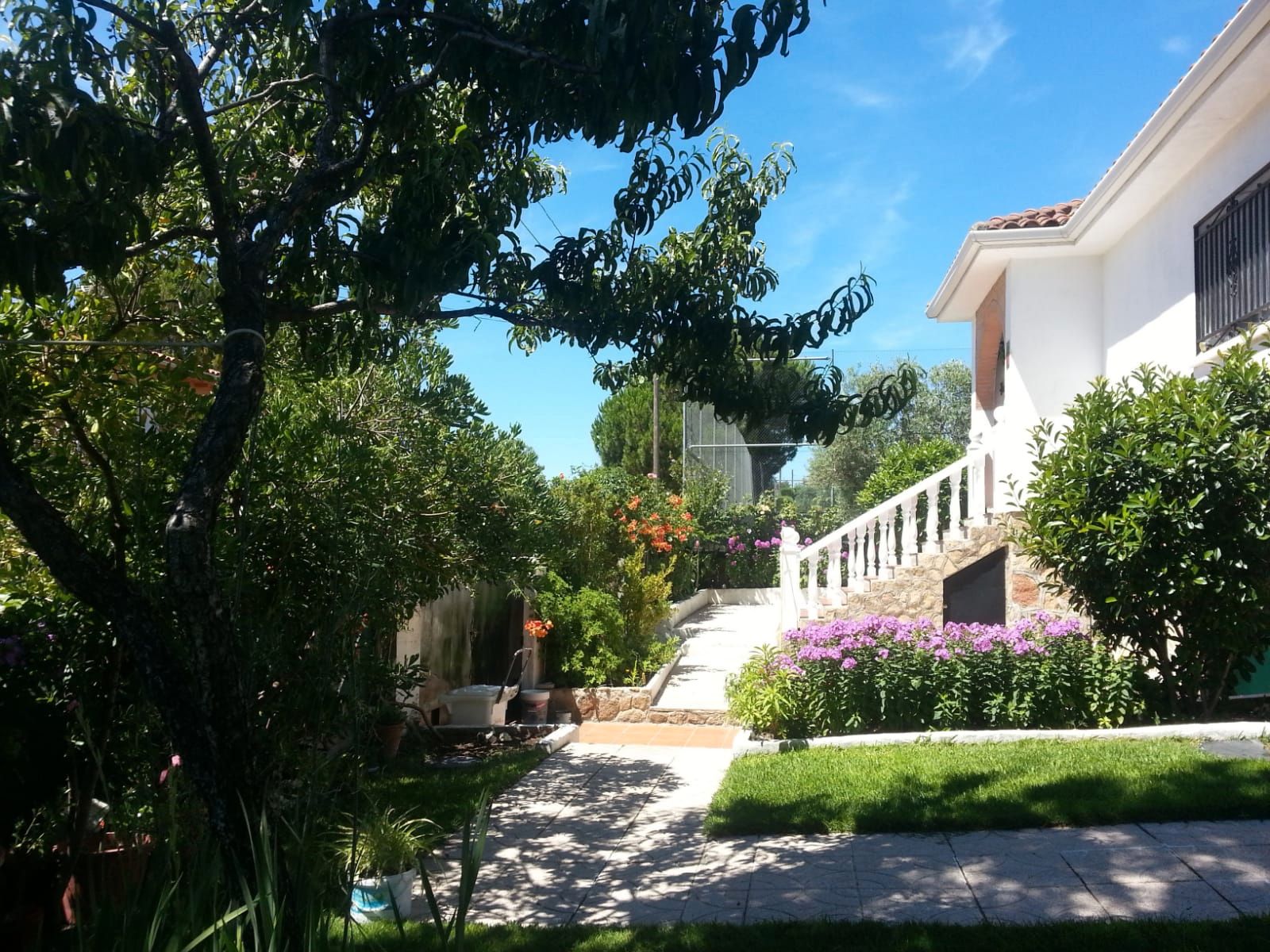 Garden of House or chalet for sale in San Martín de Valdeiglesias  with Heating, Private garden and Terrace