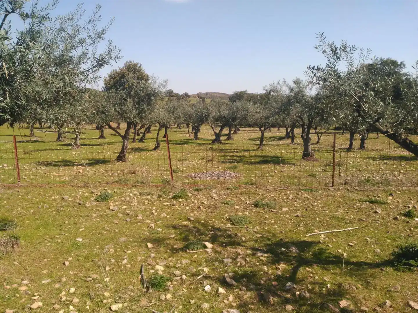 Finca rústica en venda en La Codosera amb Piscina