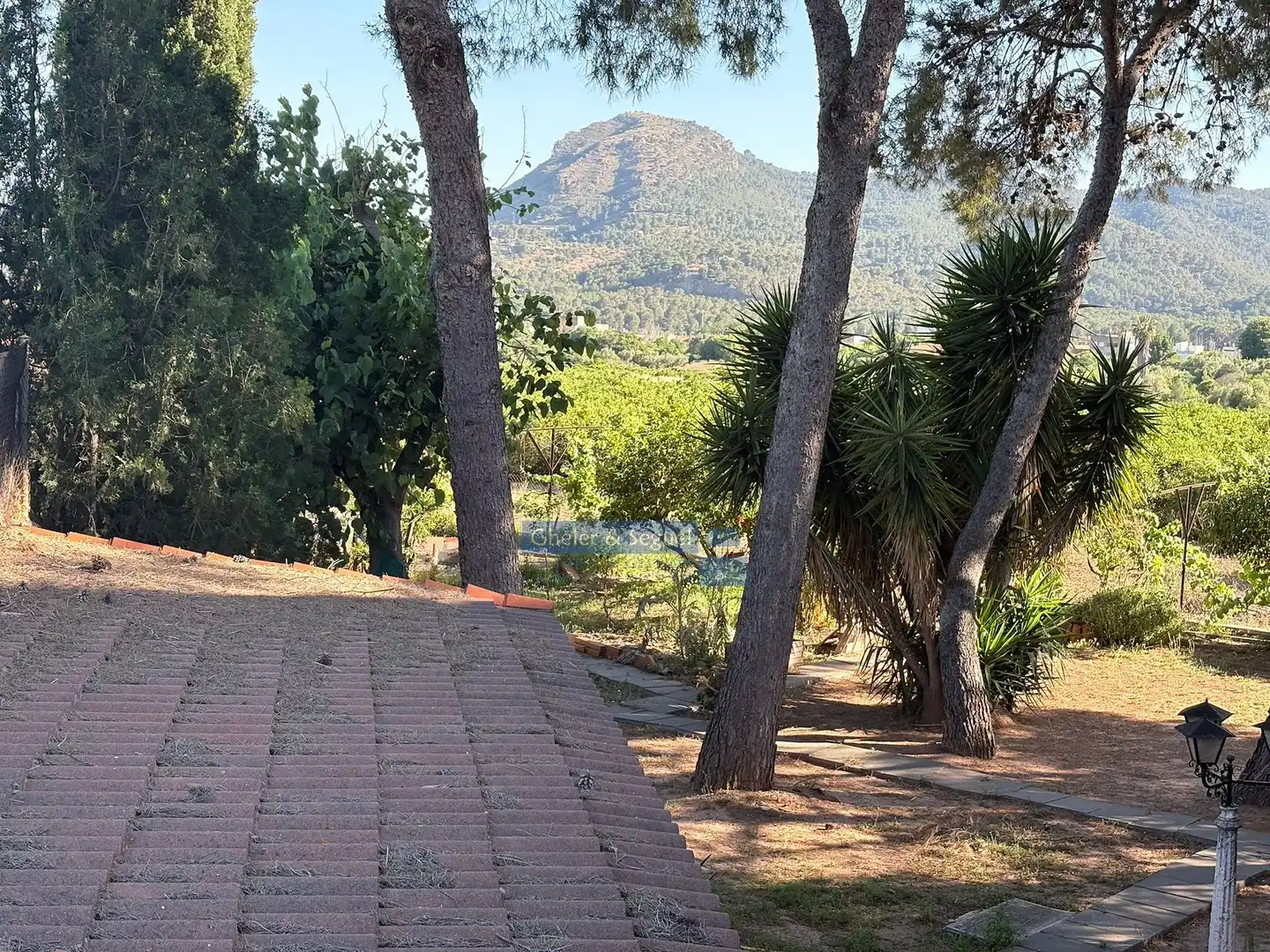 Casa o chalet en venta en Albalat dels Tarongers con Terraza