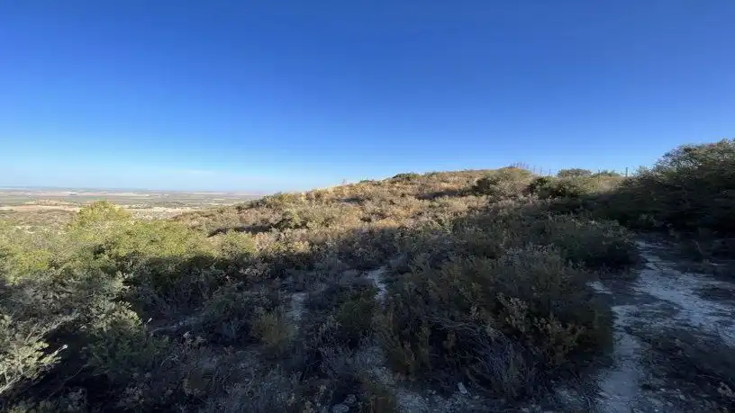 Finca rústica en venta en San Antonio O Guardarropa Pol 115.par 8,9 y 15, Osuna