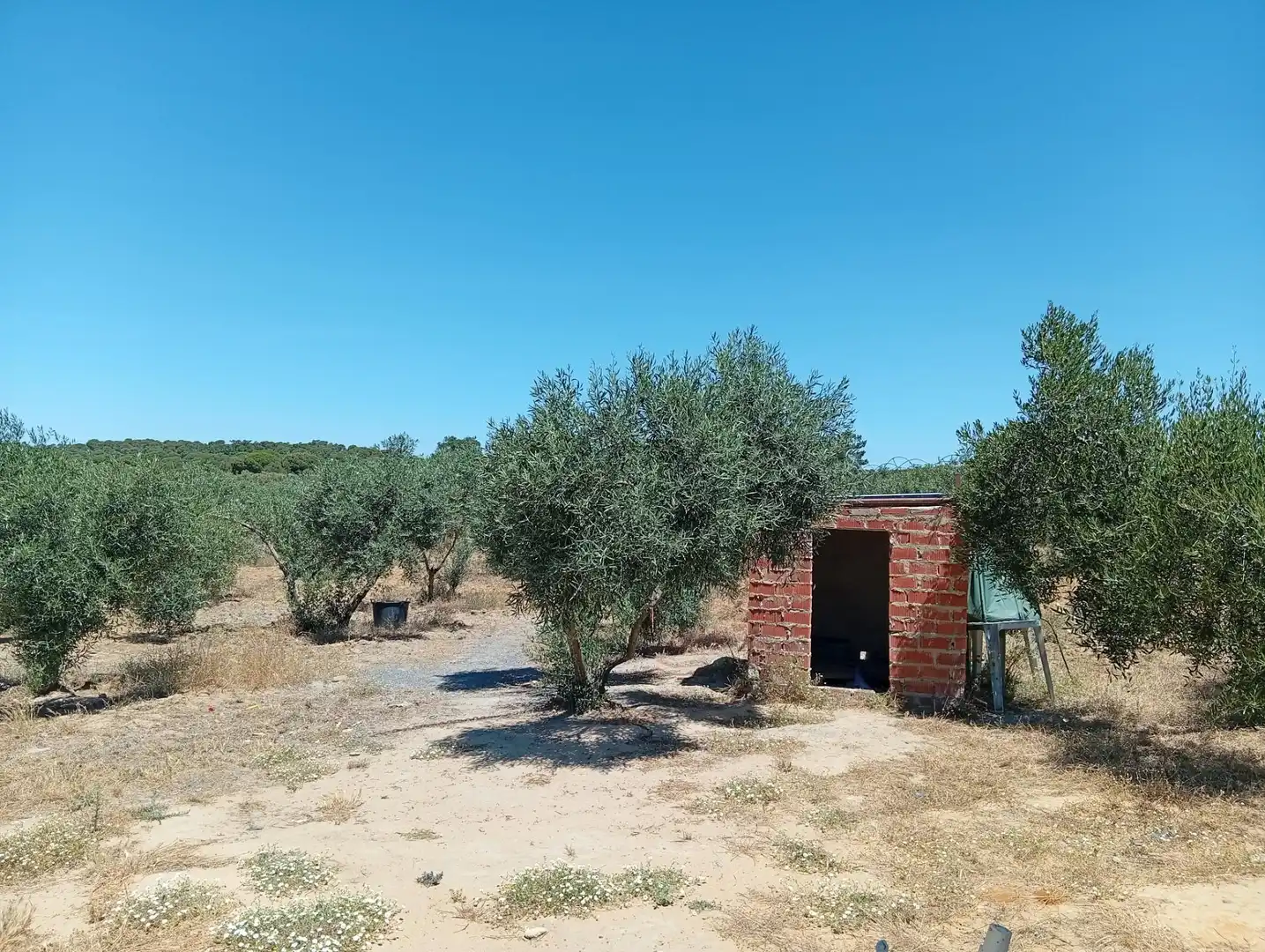 Terreni e lotti in vendita a Villablanca, imagen 4
