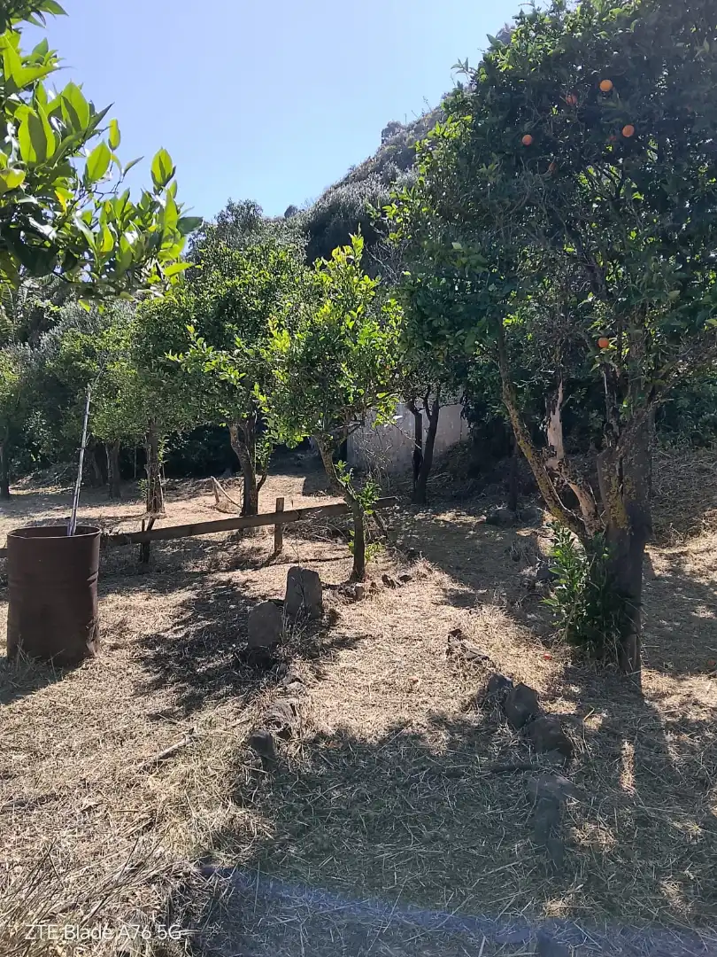 Finca rústica en venda en Santa Brígida