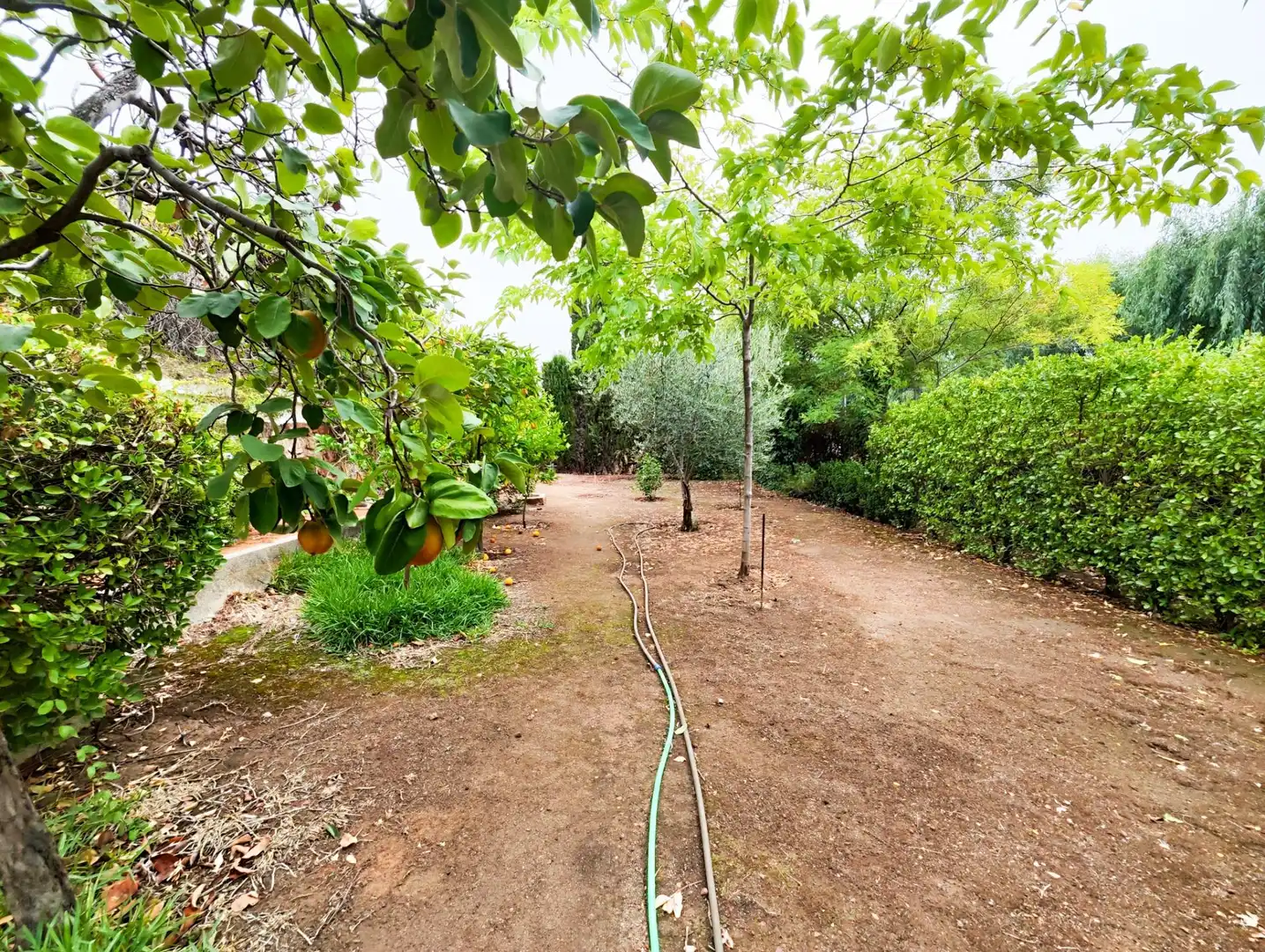 Casa o xalet en venda en Puertollano amb Aire condicionat, Calefacció i Jardí privat