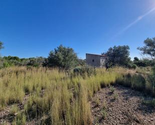 Land for sale in L'Ametlla de Mar 