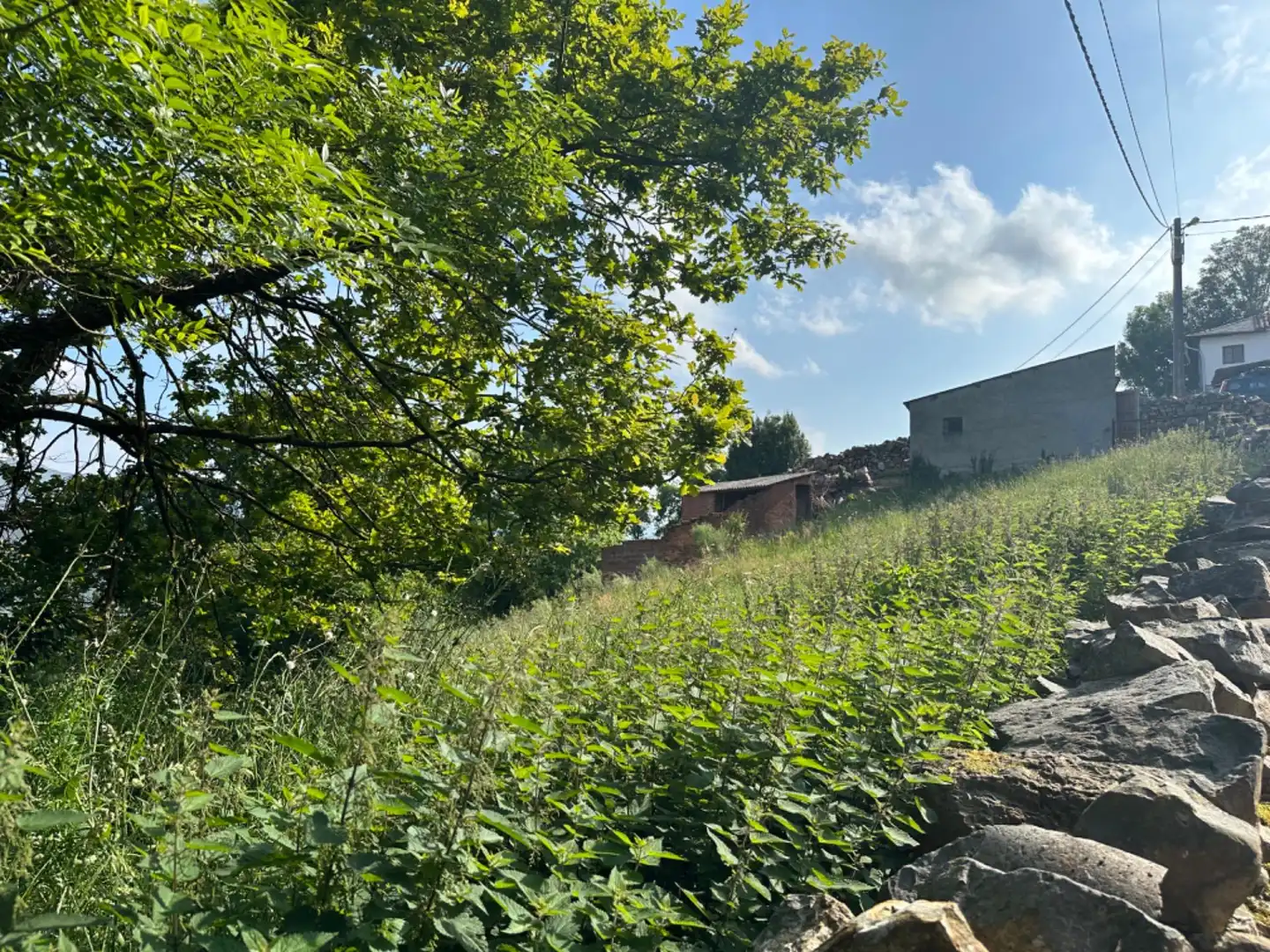 Casa o xalet en venda en Salas amb Jardí privat