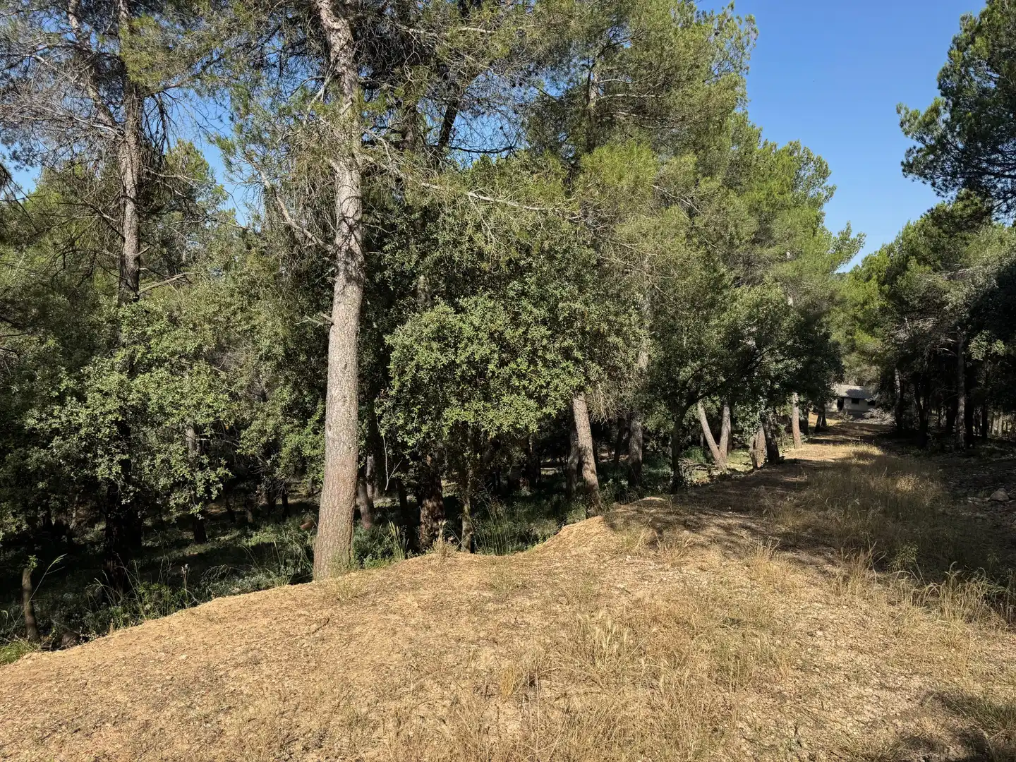 Terreno en venta en Monroyo