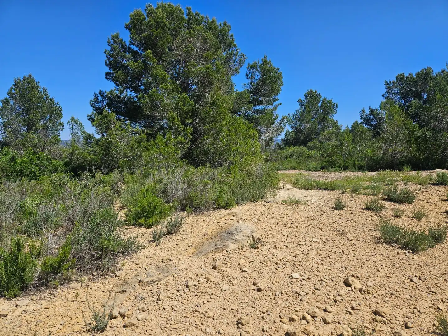 Grundstücke zum Verkauf in L'Ametlla de Mar 