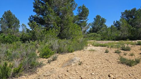 Photo 4 of Land for sale in Roques Daurades - L'Estany, L'Ametlla de Mar
