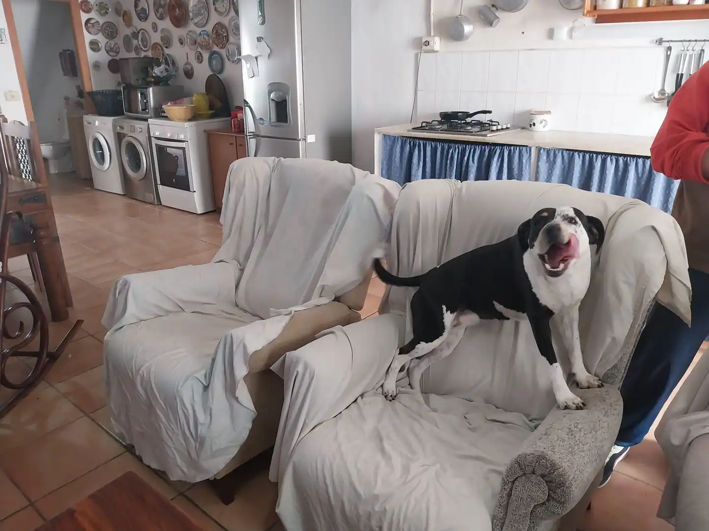Adosado con terraza en venta en Carrer de Gandia, imagen 36