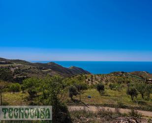 Land for sale in La Parra