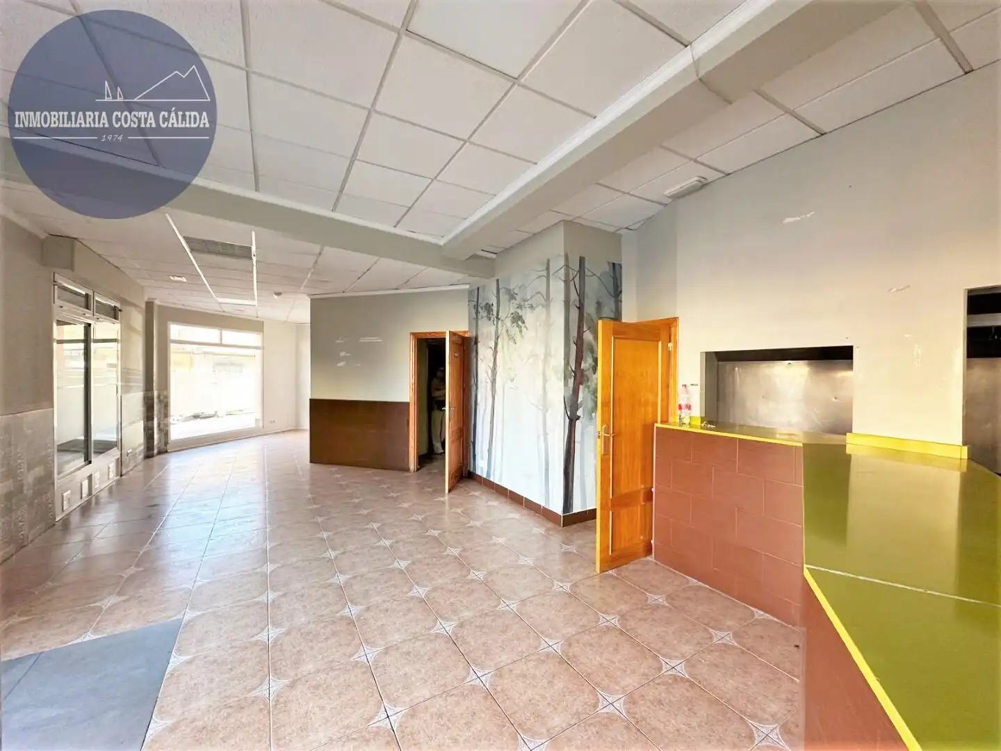 Commercial properties for sale in Águilas