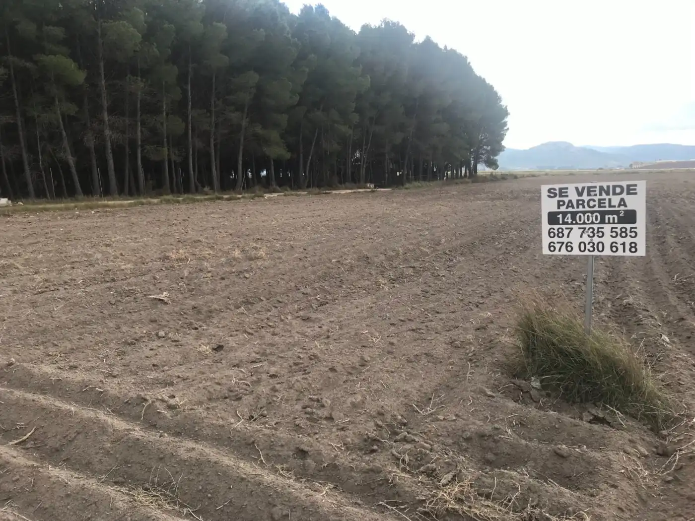 Grundstücke zum Verkauf in Villena