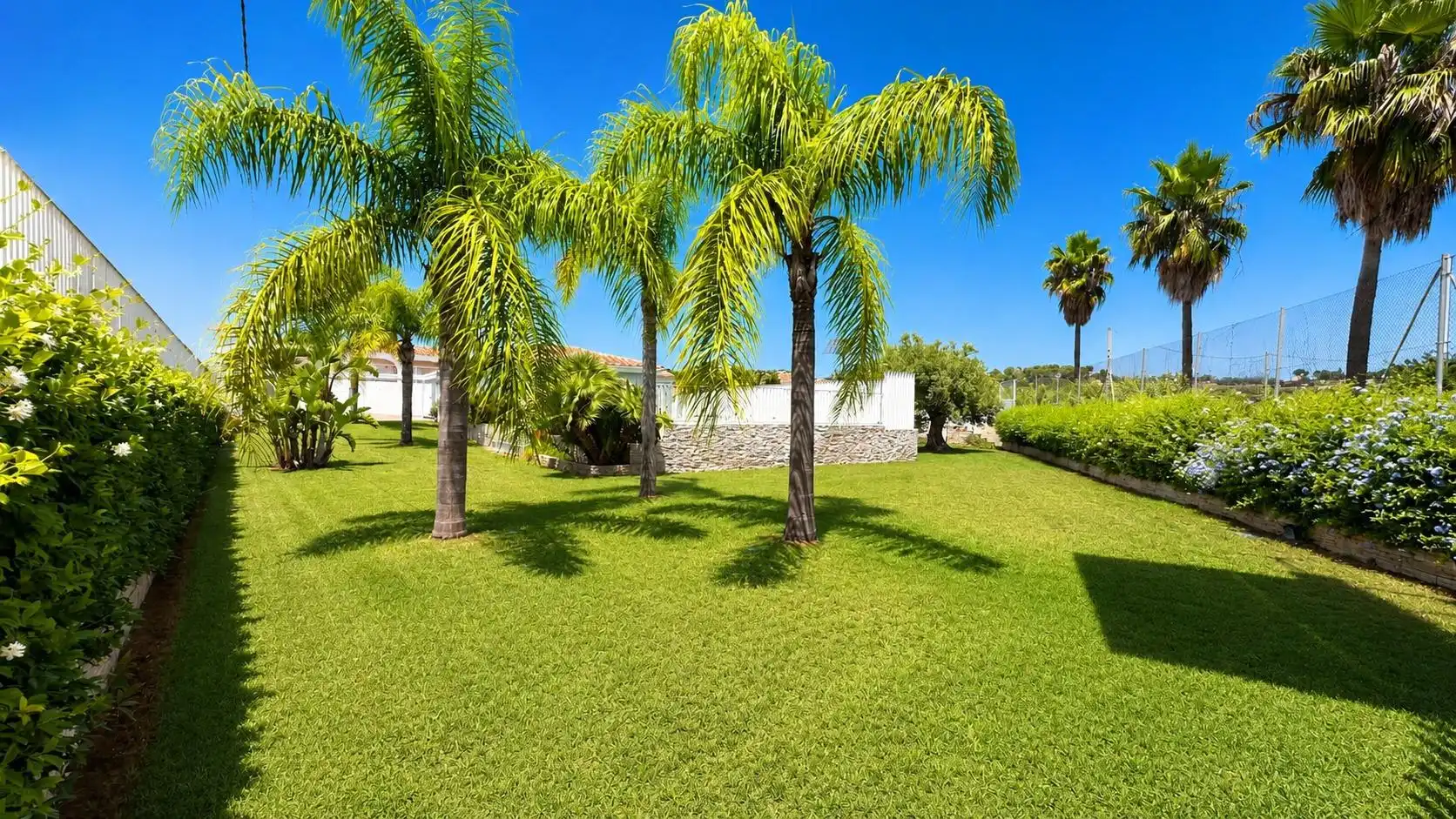 Jardí de Casa o xalet en venda en Carlet amb Aire condicionat, Calefacció i Jardí privat