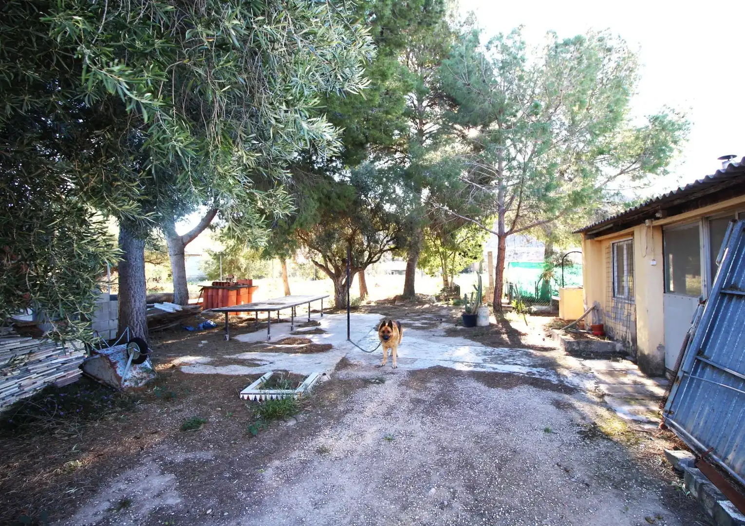 Casa o xalet en venda en Alicante / Alacant