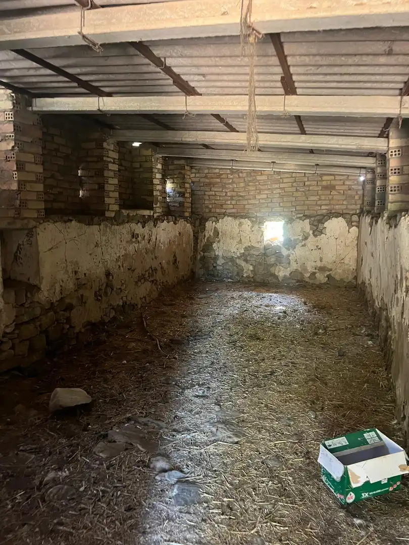 Finca rústica en venda en Vejer de la Frontera amb Jardí privat