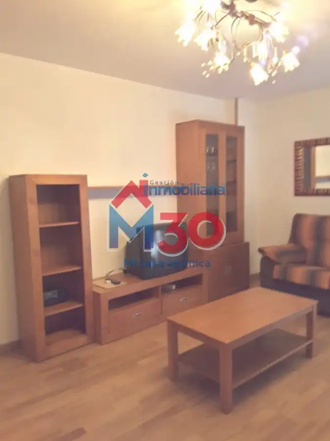 Sala de estar de Apartamento en venta en Miranda de Ebro con Calefacción, Parquet y Terraza