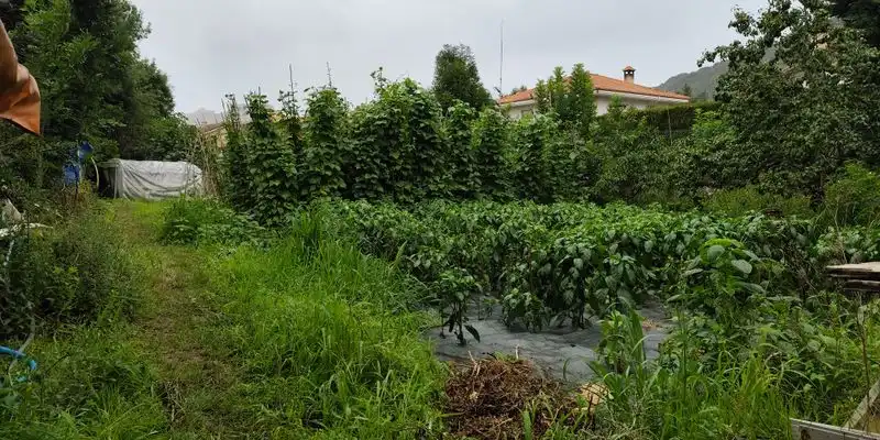 Grundstücke zum Verkauf in Liendo