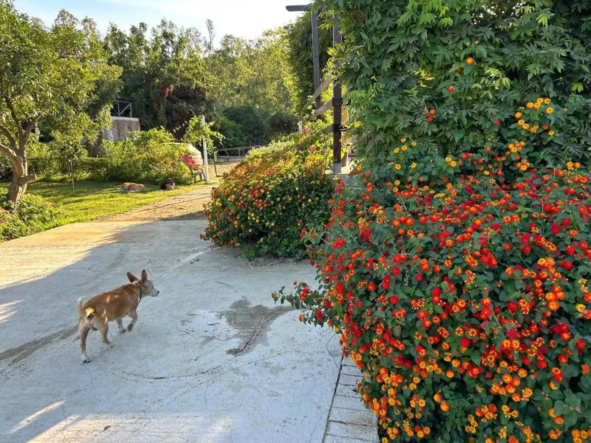 Jardí de Finca rústica en venda en San Martín del Tesorillo amb Terrassa