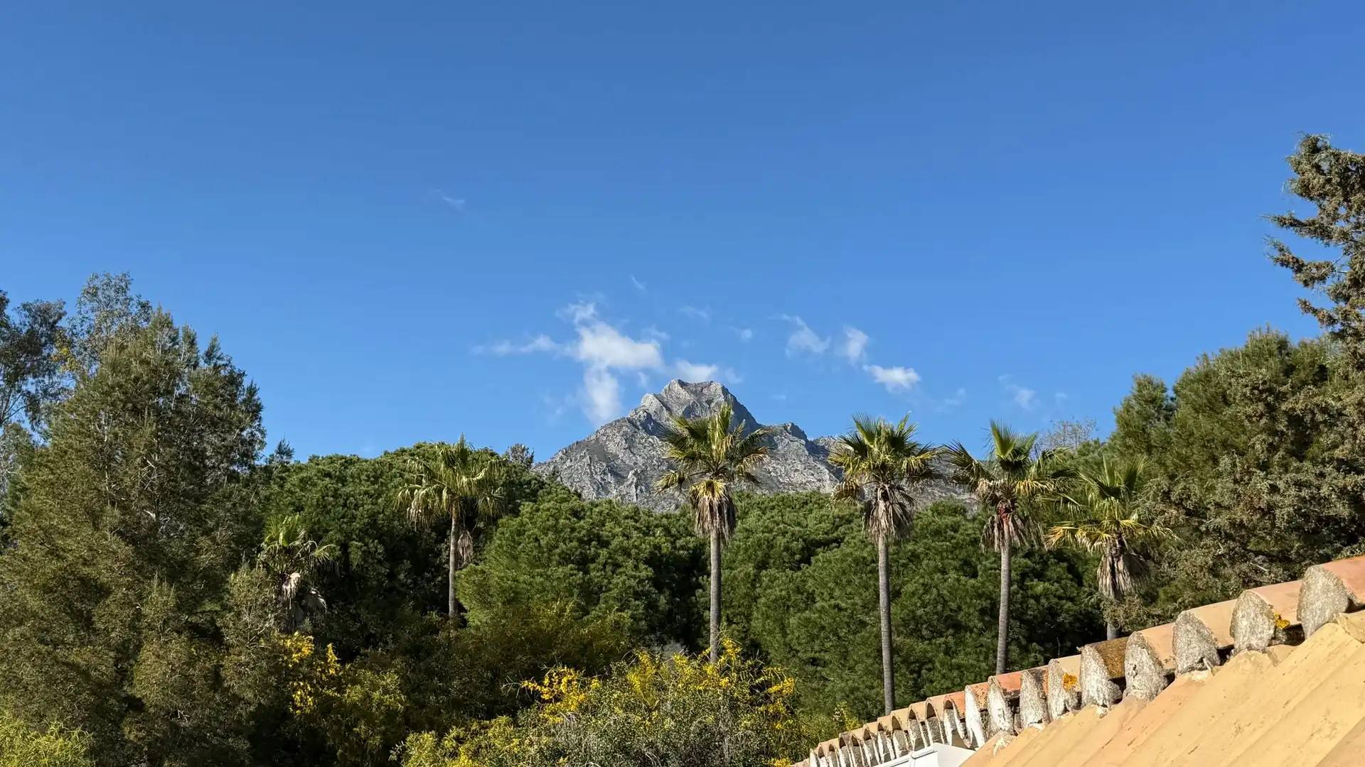 Adossat amb terrassa en venda a Milla de Oro, imagen 31