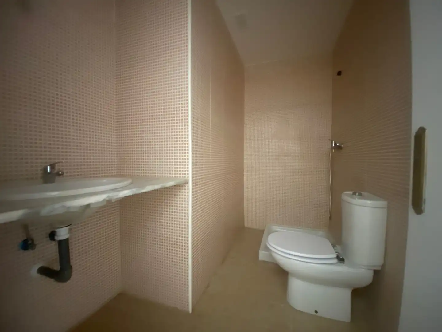 Detached homes for sale in Calle Barbero Daniel Briones, Balsicas