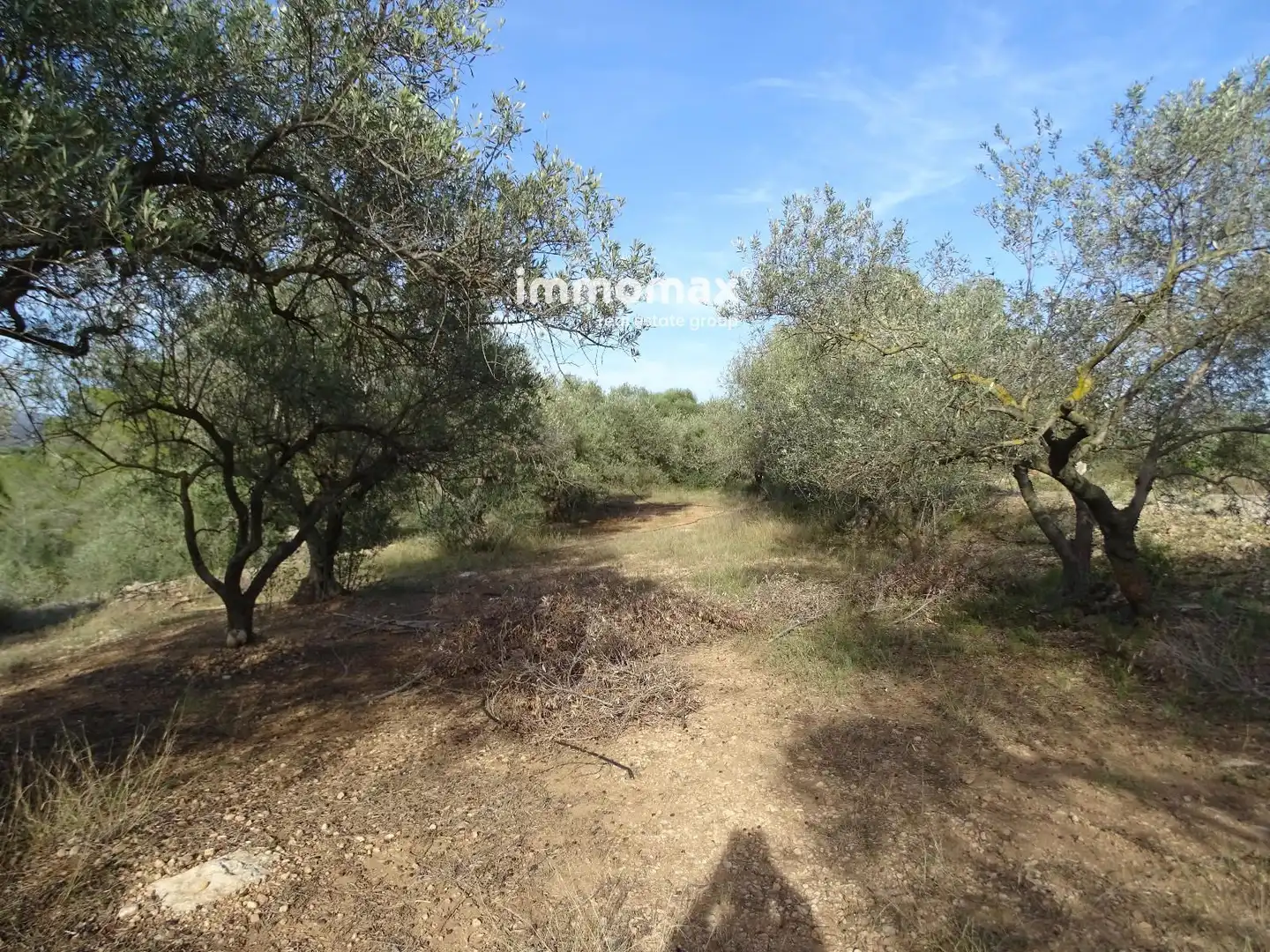 Terrain rustique à vendre à 11, imagen 2